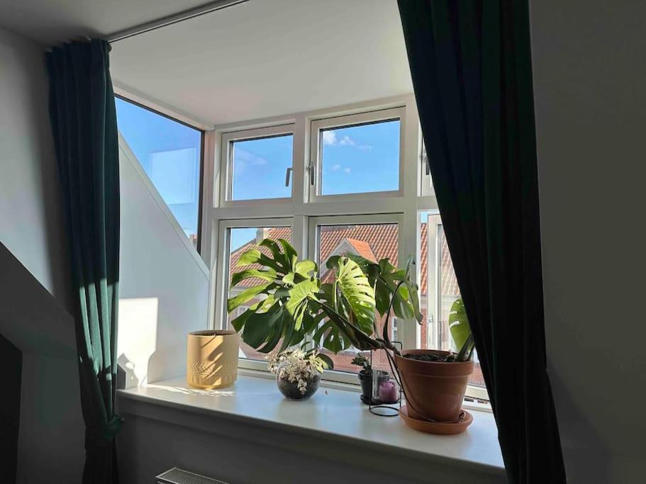 Appartement Penthouse: Delight *