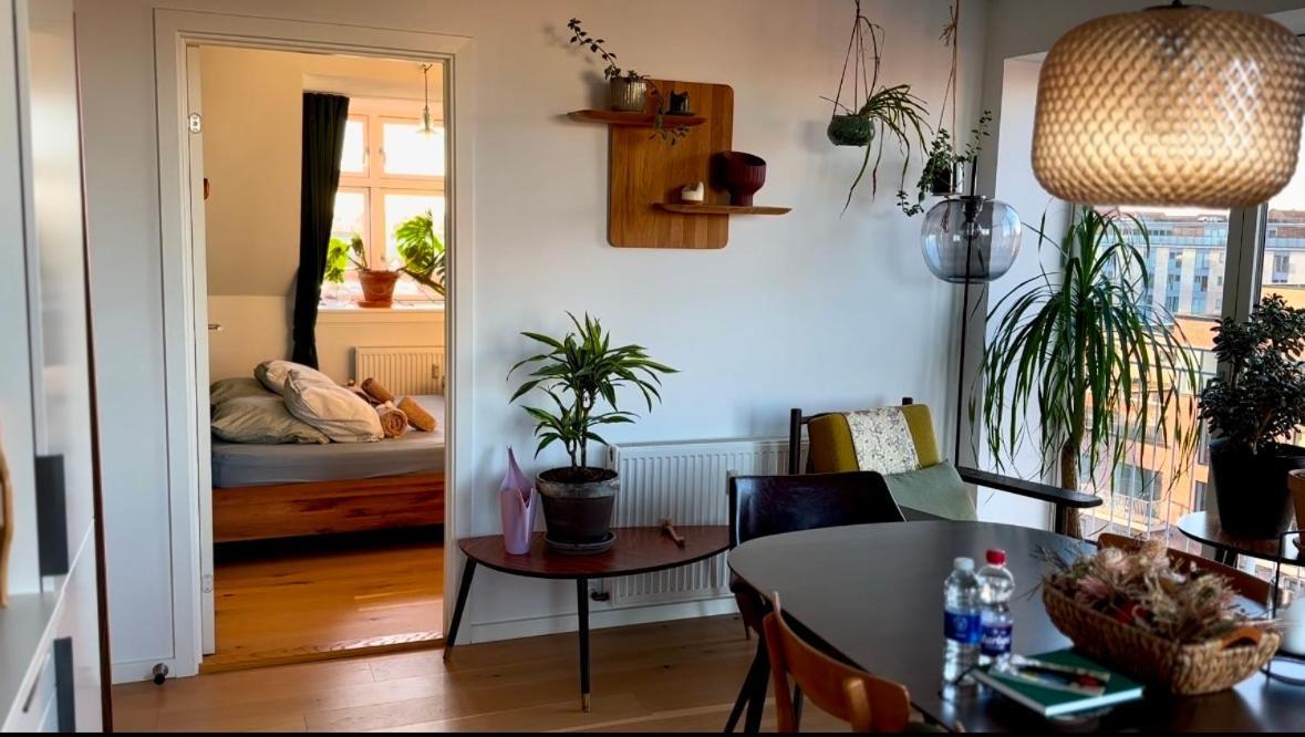 Penthouse: Delight Appartement *