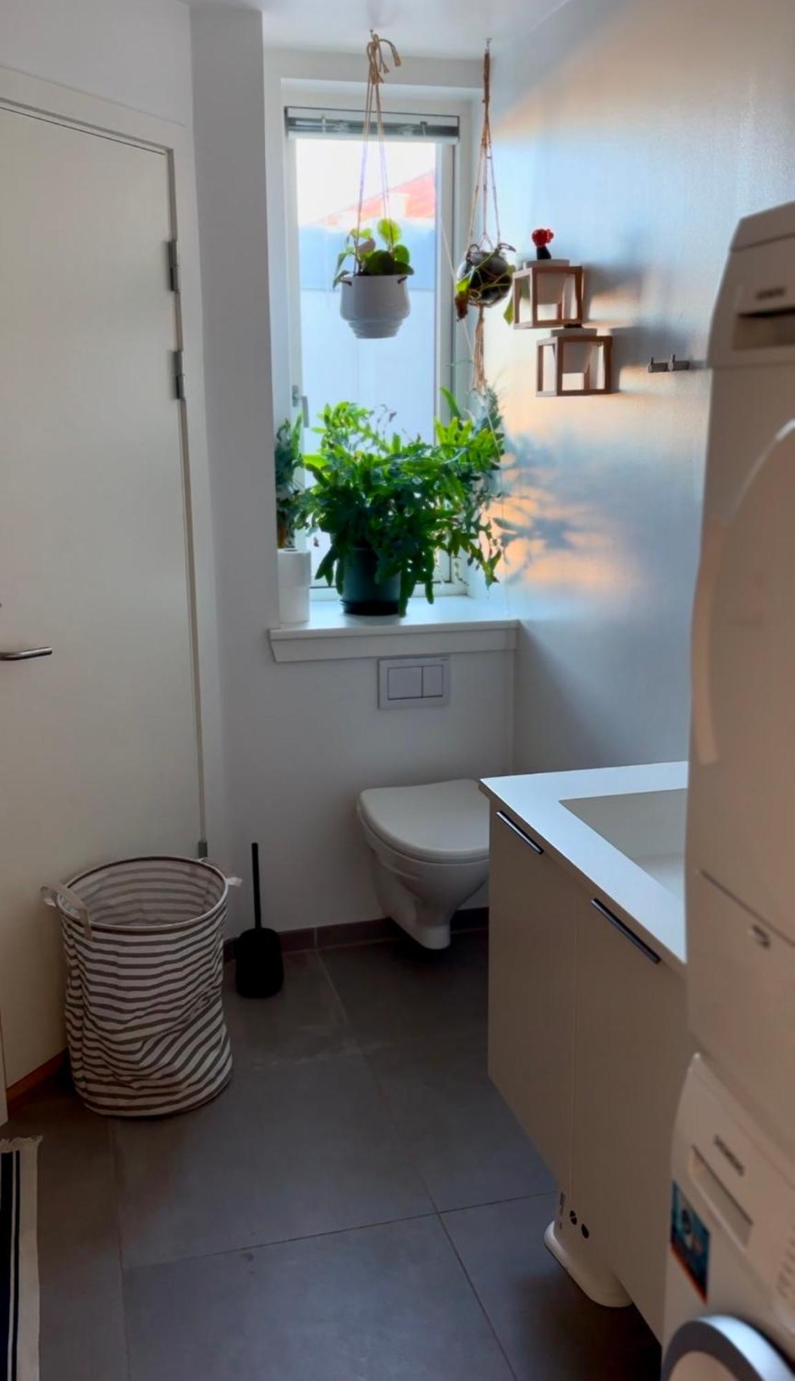 Appartement Penthouse: Delight *